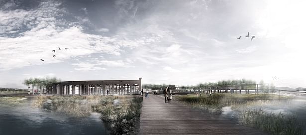 Upon a boardwalk across the ecological wetland park, approaching the research facility