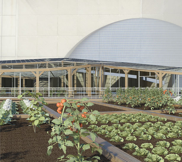 Harlem Piers Farm proposal vegetable gardens and greenhouse.