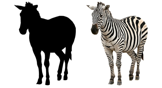 So what are you, a horse or a zebra?