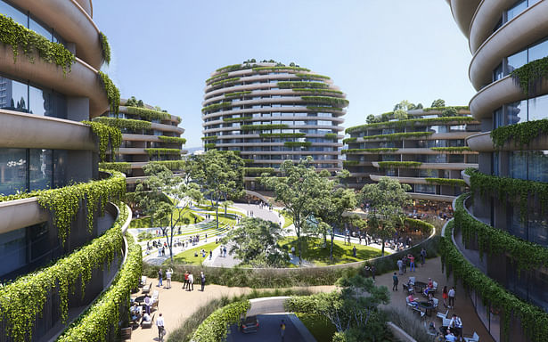 Marion Park Masterplan visualisation – terrace level activation © Contreras Earl Architecture