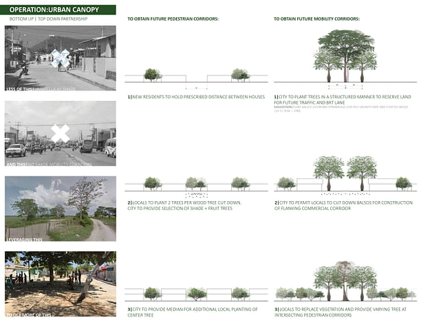Implementation strategy. To provide the necessary shade in a Caribbean context set to rapidly expand, existing vegetation is strengthened with a systematic planting of the dry forest and other trees to hold space for mobility corridors and pedestrian streets