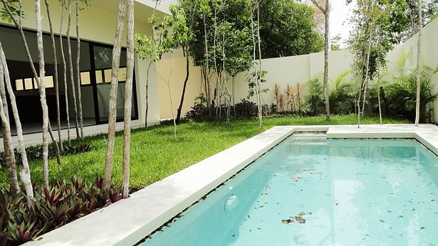 Pool + garden