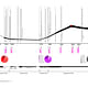 Timeline of town development in China. Image credit and courtesy of Dingliang Yang.