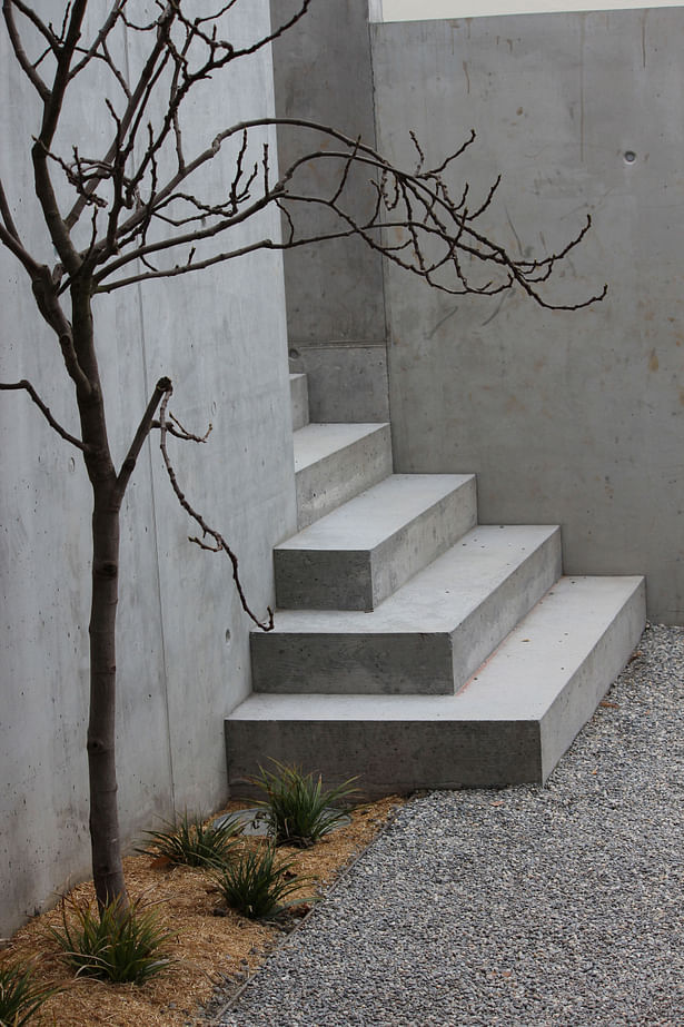 steps to frontyard