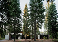 Forest House