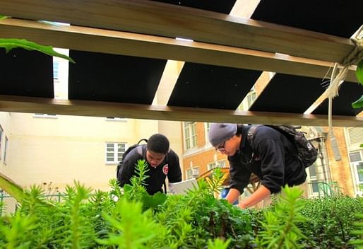 Bronx Design and Construction Academy students take measurements on their award-winning green roof, complete with the photovoltaic panels seen here. (Urban Omnibus; Photo: Bronx Design and Construction Academy)