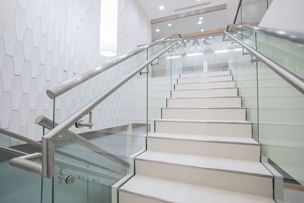 Glass railings feature a stainless steel handrail directly mounted to each panel.