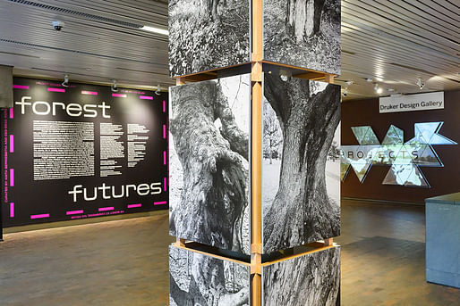 Installation view, 'FOREST FUTURES' at the Harvard Graduate School of Design's Druker Design Gallery. Image: courtesy of Harvard Graduate School of Design