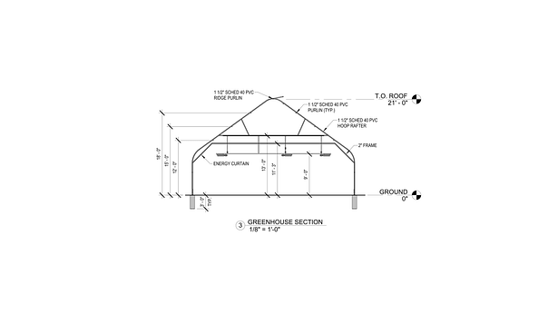 Section