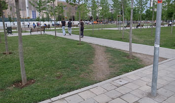 Desire paths as urban 'civil disobedience'