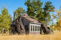 “Daydreams“ at Tippet Rise Art Center
