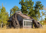 “Daydreams“ at Tippet Rise Art Center