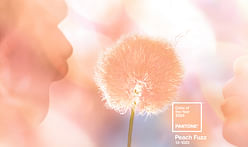 Peach Fuzz is the 2024 Pantone Color of the Year