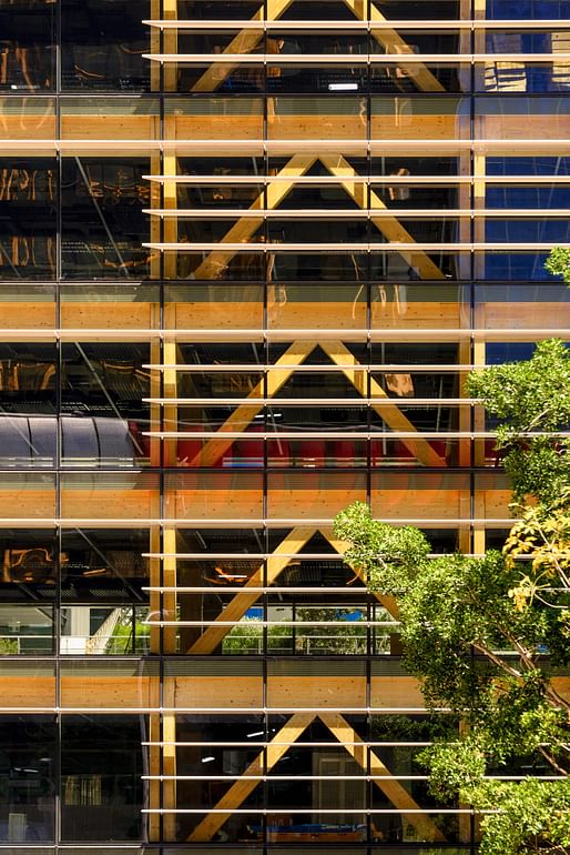 International House Sydney, designed by Australian firm Tzannes, is an award-winning example of large timber-engineered commercial buildings. Photo: Ben Guthrie.