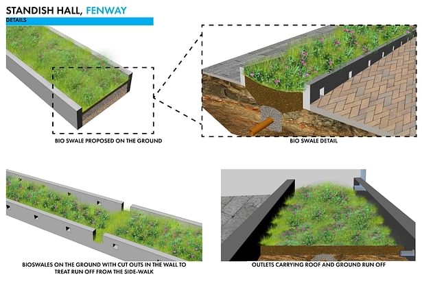 Details explaining the design of the bioswale.