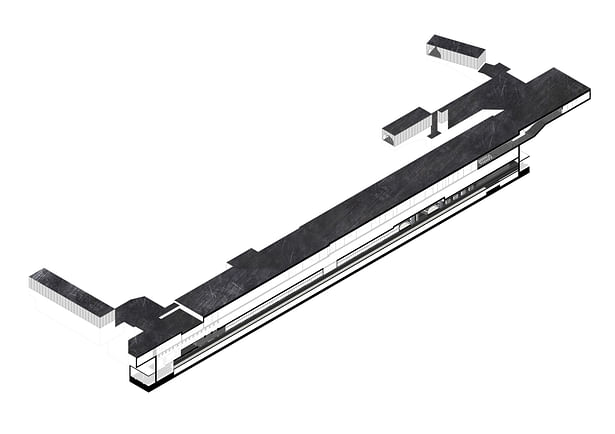 Longitudinal section