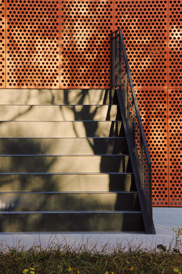 Tree shadows on the wall © XING DESIGN