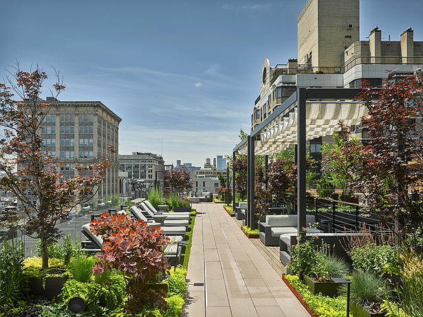 The rooftop features abundant greenery, including 20-foot trees in the center court.