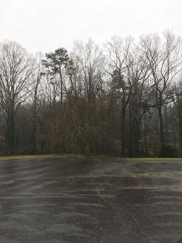 Existing site conditions. A portion of the parking lot (closest to the tree line) was to be removed using a walk-behind concrete saw and then repurposed as a wall/seating area.