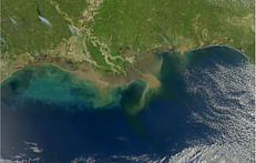 Can the Gulf of Mexico be used to store carbon dioxide?