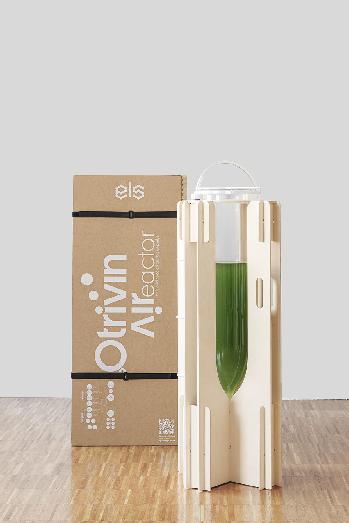 A close-up of a biophilic design product featuring algae, showcasing its organic texture and vibrant green hues.