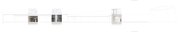 Longitudinal Section