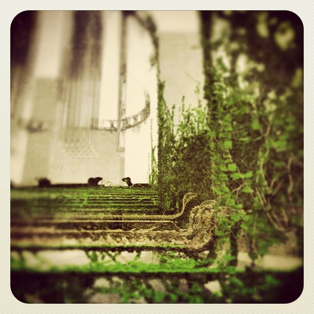 The ivy staircase of the topiary garden evokes memories that she would rather had lain dormant.
