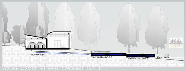 Conservation Component Section and Wetlands