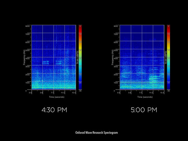 Sound waves recorded during peak traffic hours