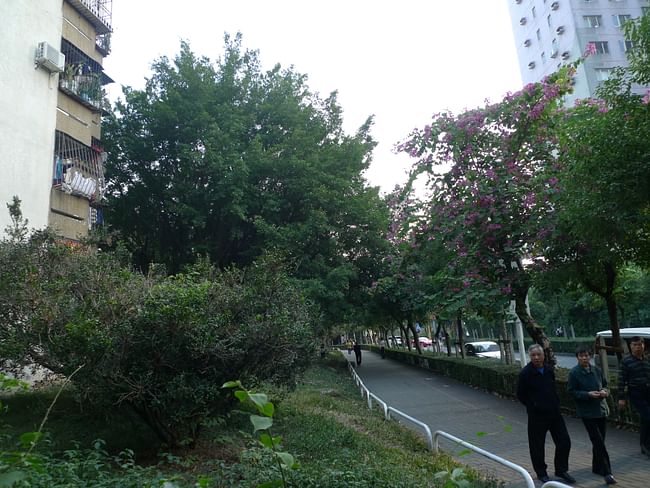 Pedestrian walkway,Street, bicycle lane and urban landscape are efficiently integrated