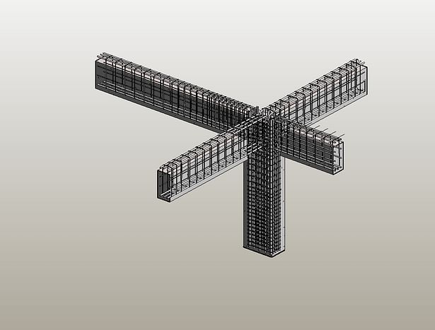 3d reinforcement column/framing.