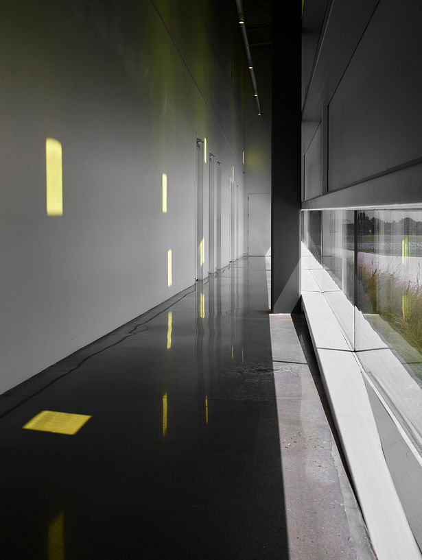 The west/secondary gallery corridor provides access to toilets, the green room, and administrative offices. The afternoon sun projects ever-changing gold “notes” onto the wall. “Notes” appear, move, change and disappear during the day capturing the kinetic energy within the space. The glass at the floor line suggests the building is buoyant.