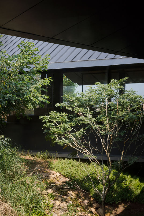 native landscape blend into the architecture - credits Arch-Exist Photography