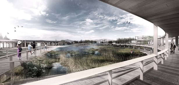 Within the research facility and ecological wetland park