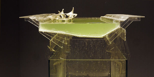 river ecosystem model with algae