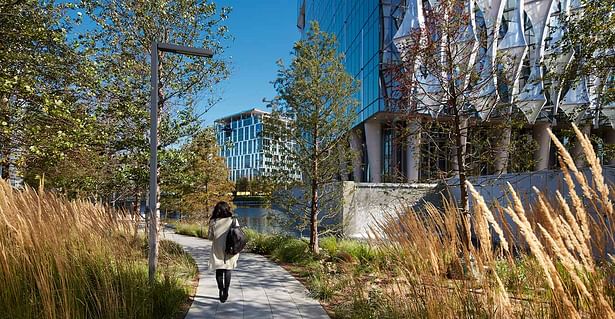 The Embassy's landscape is inspired by the shared history of the United States and the United Kingdom, with tall grasses and wildflowers that pay homage to rolling American prairies and the site's early history as a River Thames wetland. ©Richard Bryant
