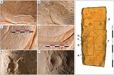 Researchers claim to have uncovered world’s oldest architectural plans