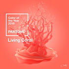 LIVING CORAL 