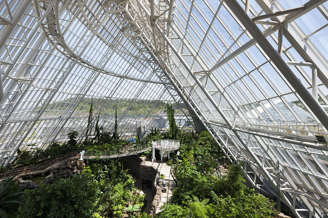 The Ecorium at the National Ecology Center in Seocheon, South Korea. Photo: Young Chae Park