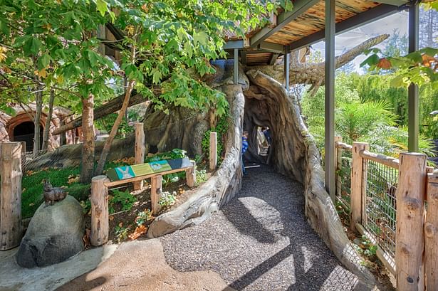 The Treehouse anchors the Zoo and creates a structure for kids to explore freely. Photo credit: Marco Zecchin Photography