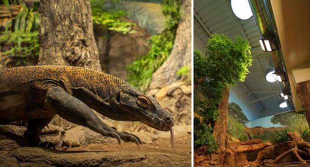 Solatube Daylighting Systems provide an energy-efficient daylighting solution for the Woodland Park Zoo Komodo dragon exhibit 