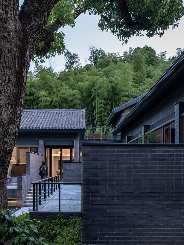 The building is planted in a bamboo and cedar forest ©Chen Xi Studio