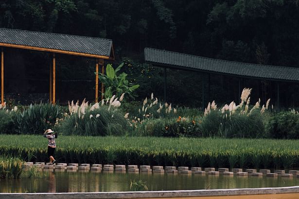 Bamboo Branch Academy, plantain trees and a villager ©存在建筑