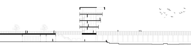 Proposed Building Section 