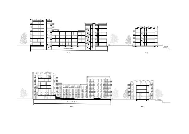 Long Site Section