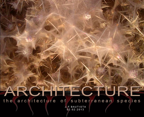 ...Architecture of subterranean species