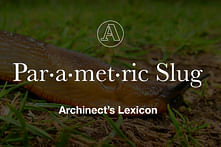 Archinect's Lexicon: "Parametric Slug"