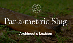 Archinect's Lexicon: "Parametric Slug"