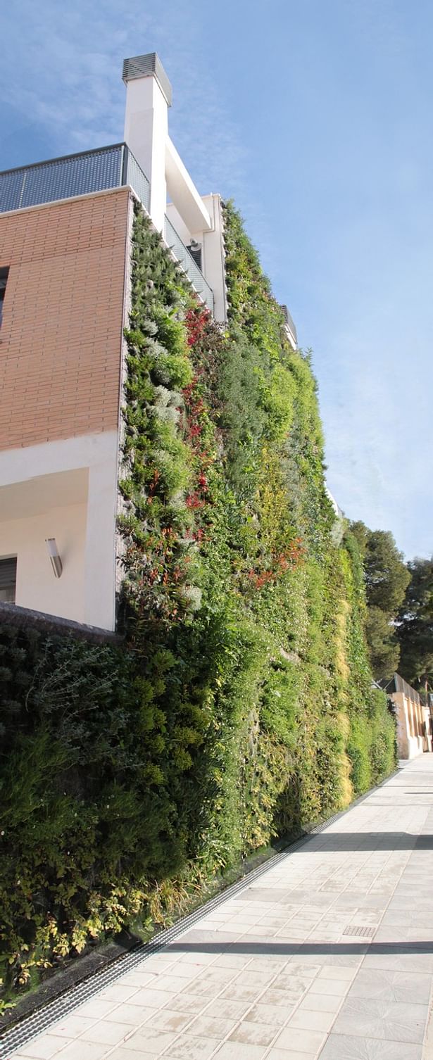 Vertical garden. Paterna.