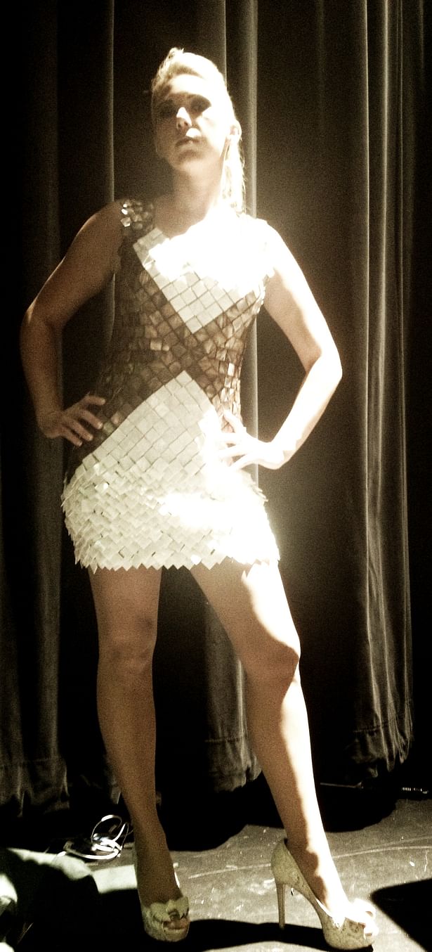 2013 Dress